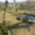 tuin achter Bakkum 15-4-19.JPG