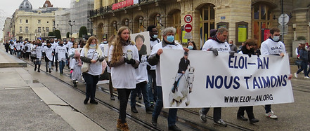 IMG_3988 copie_edited.jpg