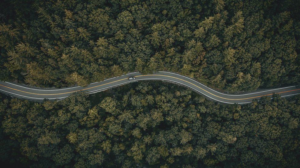 The long road ahead (IG_ _clay_edited.jpg