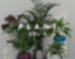 plant vol4