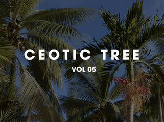 CEOTIC STUDIO TREE VOL 5 _ Cây họ dừa p1