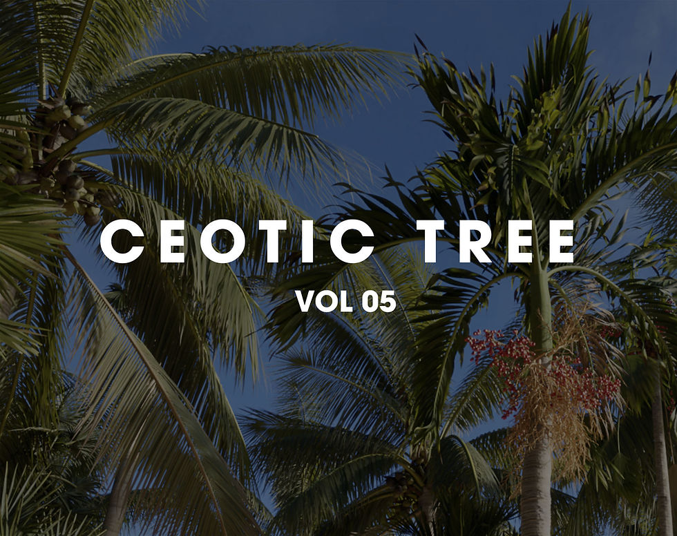 vol 5