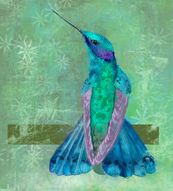 Hummingbird