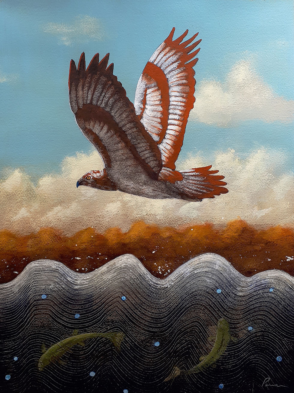 L'aigle-Pêcheur