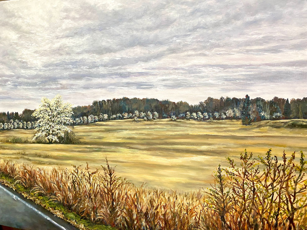 Winter Medows, West Windsor, New Jersey, USA