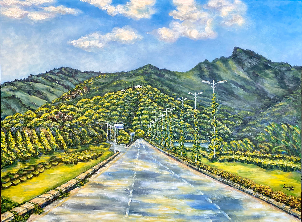Margalla Hills, Islamabad, Pakistan 2021. Oil on canvas 24x28 inches