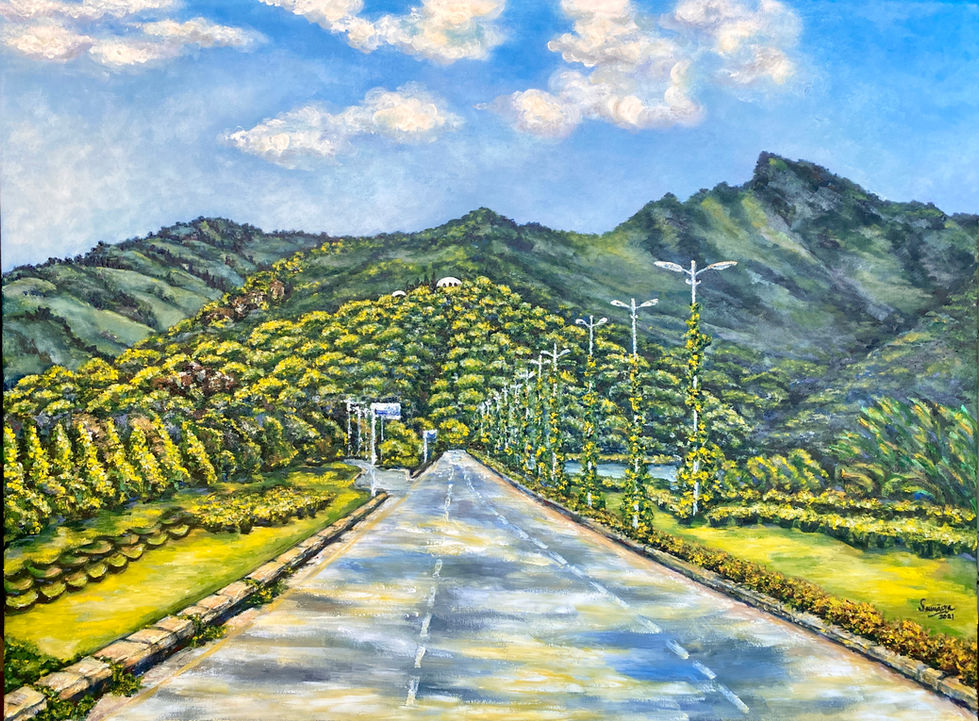 Margalla Hills, Islamabad, Pakistan. Oil on canvas 24x28 inches