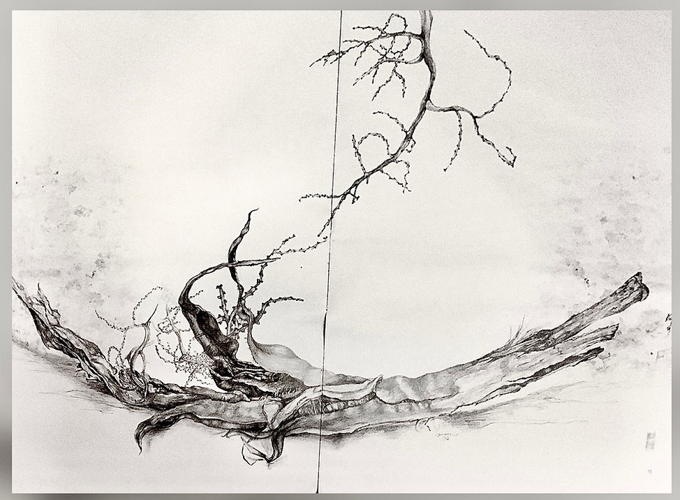 Untitled-Graphite on paper, 2002.jpeg
