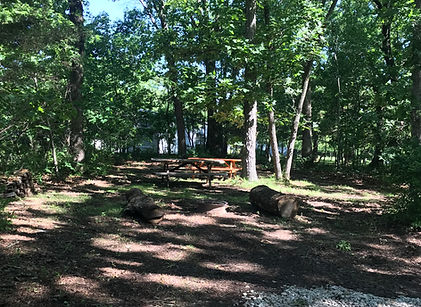 Tent Site.JPG