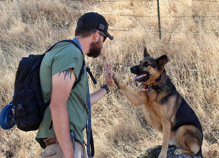 Man and dog - best friends