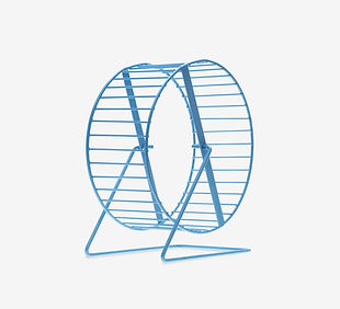 Hamster Wheel 