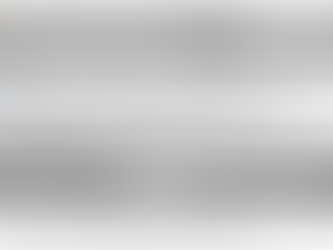 特許審査官のスコアと特徴