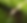 Come into magic... (3).png