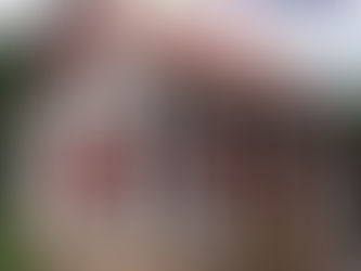 Fachwerkhaus Gebäudeversicherung