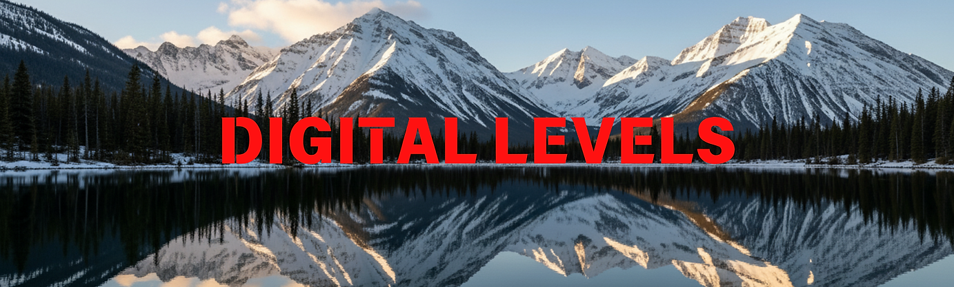 DIGITAL LEVELS.png