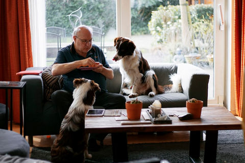 Gay Men and their Dogs