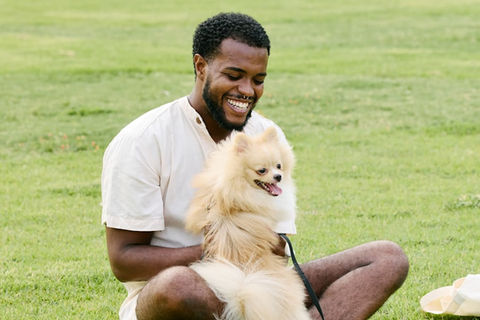 Gay Men and their Dogs