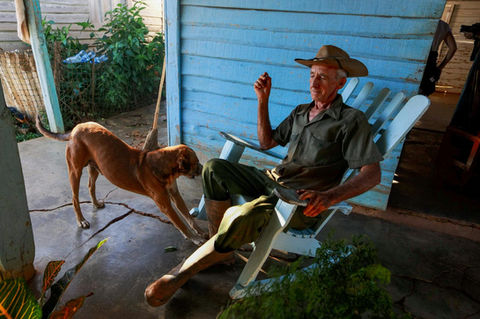 Gay Men and their Dogs