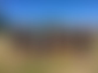 Congratulations to SSAC- Masters at NW Masters Regionals