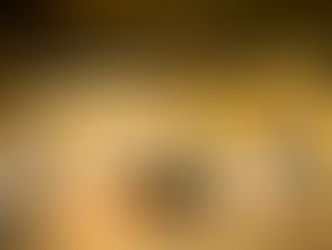 토레토레 센터