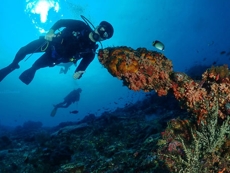 5 Reasons To Become a Certified Open Water Diver