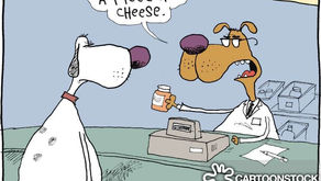 How to Give Your Dog Medicine 