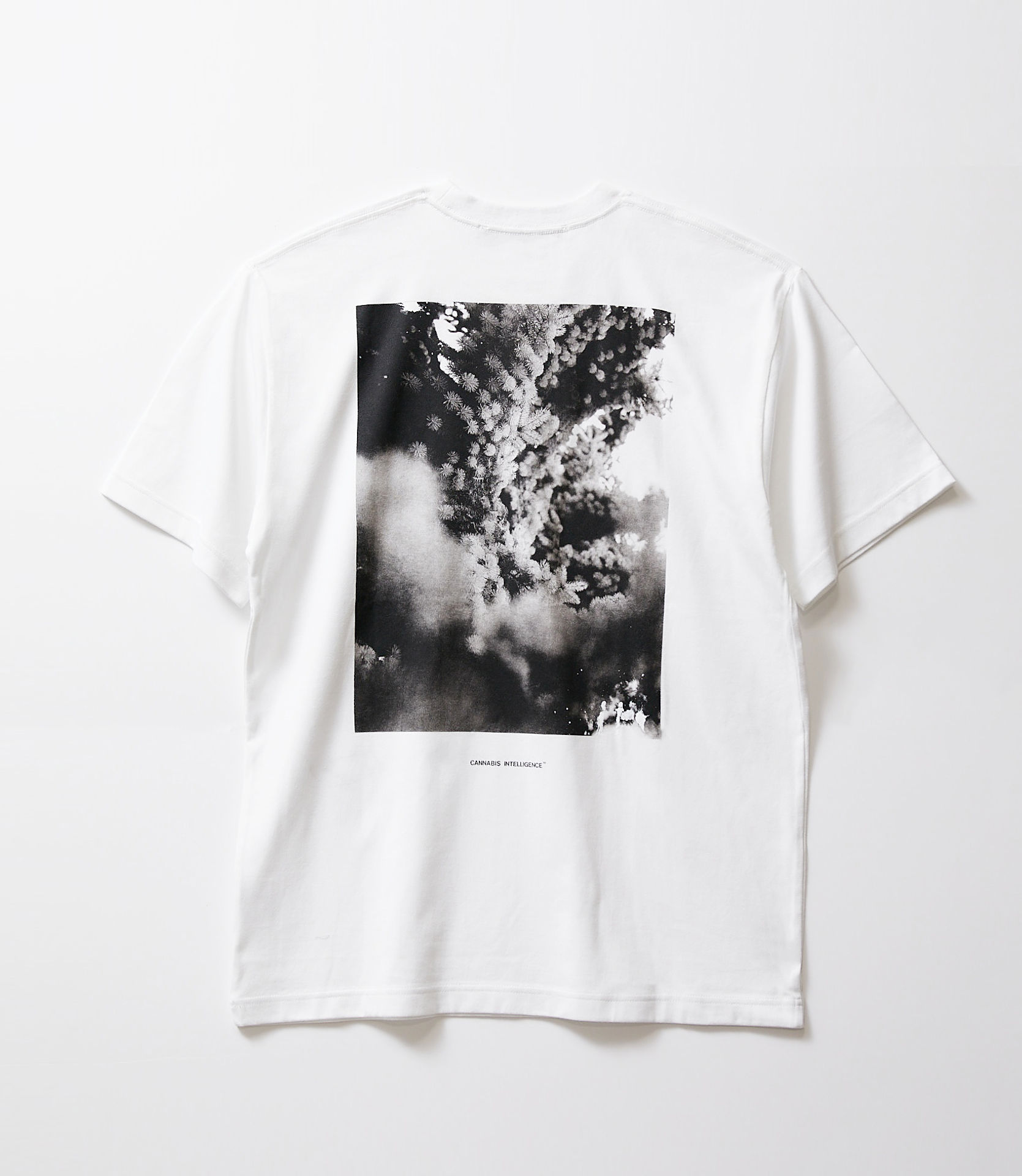 BACK PRINT PHOTO ARE TEE Type: D