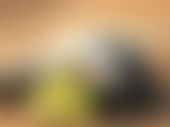 Baker's Dozen: Preseason South Jersey Top 13 high school softball rankings