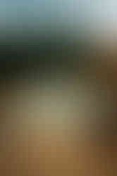 Plan de table mariage