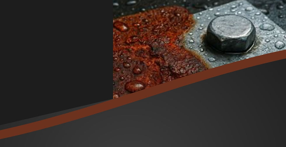 FRAME-D (1)_edited.jpg