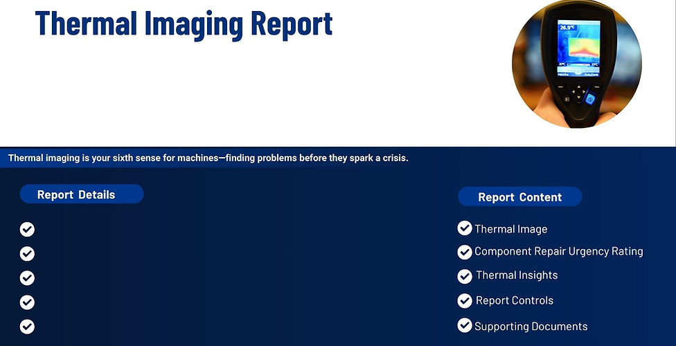 Report Details.jpg