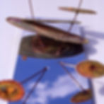 biotype_chromus.1