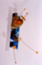 Biotype_chromus.1