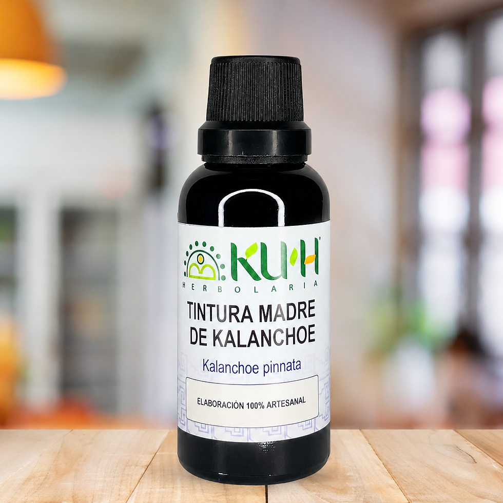 Miniatura: Tintura Madre Kalanchoe 30 ml