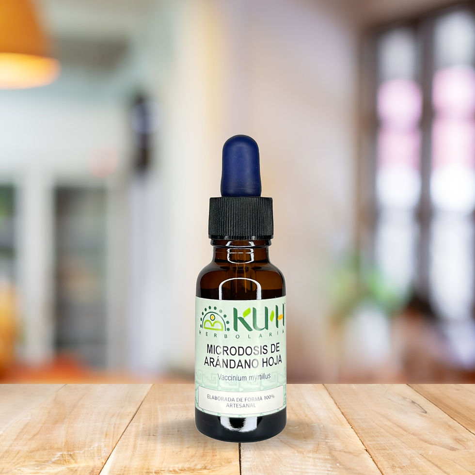 Microdosis de Arándano Hoja