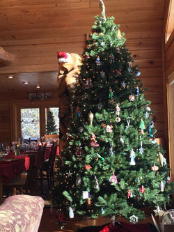 Christmas In North Minnesota