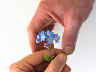 Nýggir avvarðandi bólkar byrja í mars