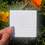 Miniaturbild: Focus on HOPE - Postcard