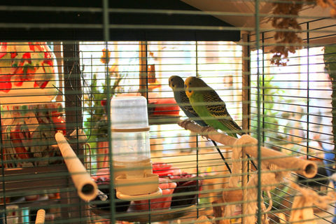 IMG_6685.JPG