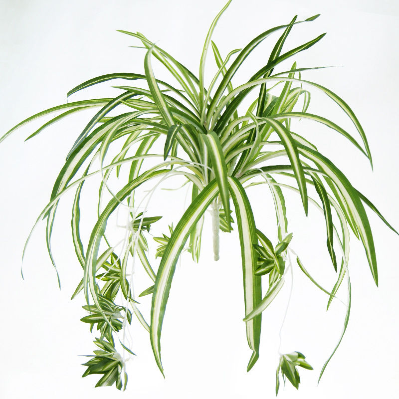 65cm Artificial Plants Wall Hanging Chlorophytum Potted Green Plants PVC Fake Pl