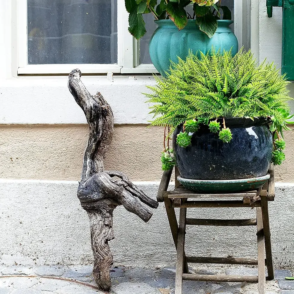 Thumbnail: 8 Bundles Boston Fern Artificial Plants Bushes Artificial Shrubs Greenery Plasti