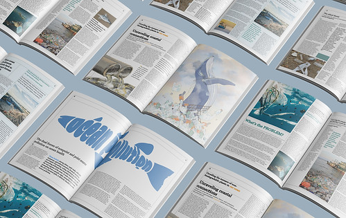 mag. mockup.jpg