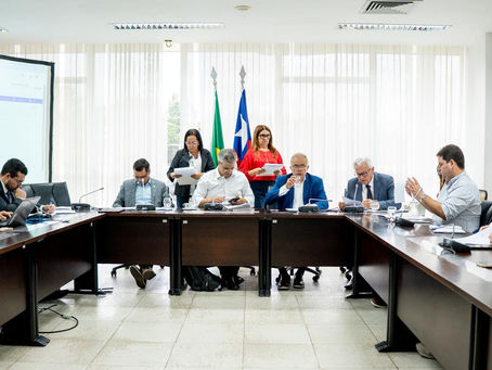 CCJ da ALEMA aprova PL que institui o Dia Estadual da Mesária e do Mesário no Maranhão