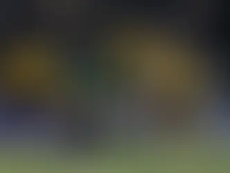 Palmeiras é Campeão do Paulistão 2026 e Estafe da Seleção Brasileira Já Observa Jogadores para a Próxima Convocação