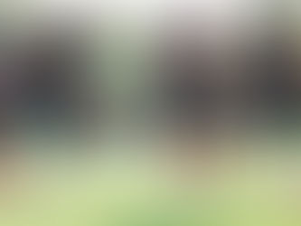 Seleção Treina com Vini Jr Recuperado e Ancelotti Testa Time para Enfrentar a Croácia Terça em Orlando