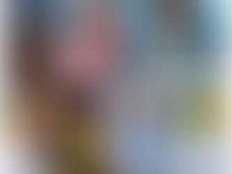 Braide Anuncia Elaine Carneiro como Pré-Vice e Isola a Esquerda na Disputa pelo Governo do Maranhão