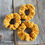 Thumbnail: Chenille Hair Scrunchies