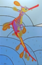 Weedy Sea Dragon Seahorse