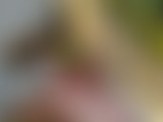 Rock # 3197 - Kaylyn found it in Denver,CO