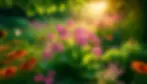 Introduction to Swamp Milkweed